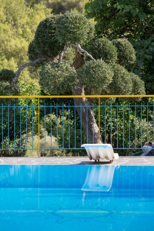 Sant'Angelo di BroloTurismo Rurale Il Sole别墅 外观 照片