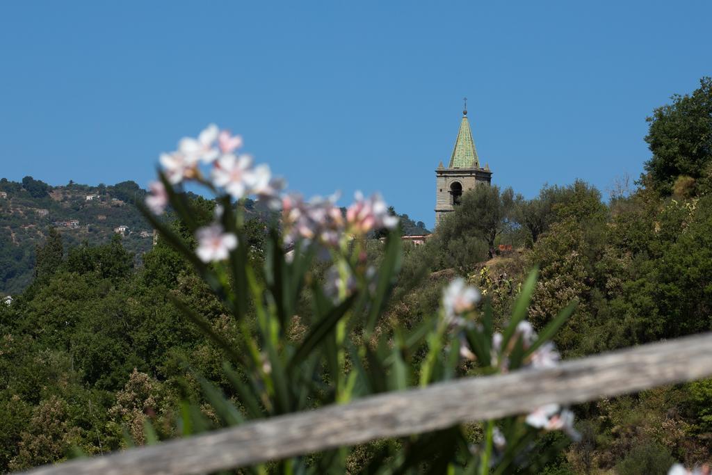 Sant'Angelo di BroloTurismo Rurale Il Sole别墅 外观 照片