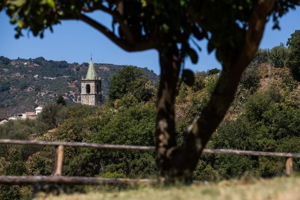 Sant'Angelo di BroloTurismo Rurale Il Sole别墅 外观 照片